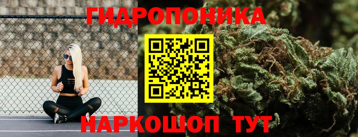 Шишки марихуана Amnesia  Вход с VPN  Марихуана план  МАРИХУАНА Ganja  Юрга 